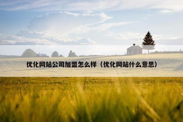优化网站公司加盟怎么样（优化网站什么意思）