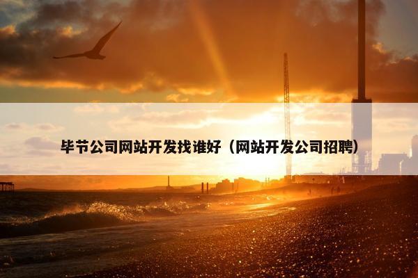 毕节公司网站开发找谁好（网站开发公司招聘）