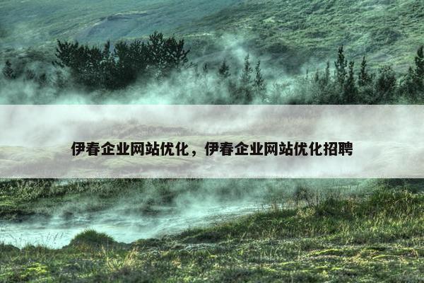 伊春企业网站优化，伊春企业网站优化招聘