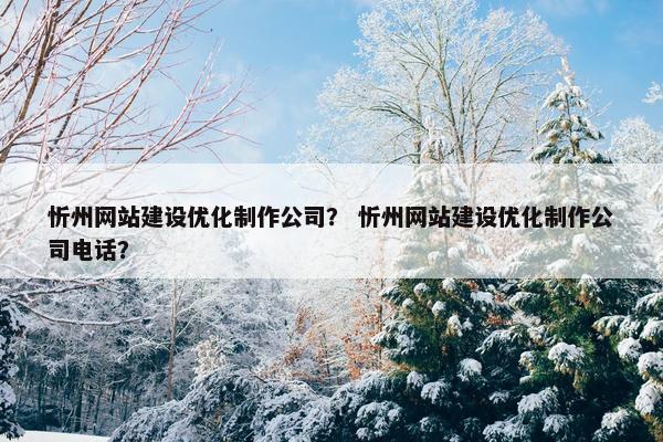 忻州网站建设优化制作公司？ 忻州网站建设优化制作公司电话？