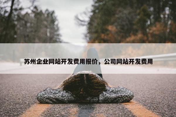 苏州企业网站开发费用报价，公司网站开发费用