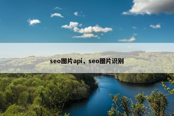 seo图片api，seo图片识别