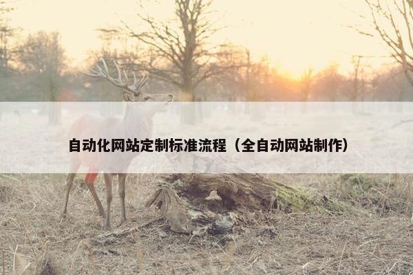 自动化网站定制标准流程（全自动网站制作）
