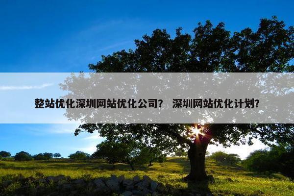 整站优化深圳网站优化公司？ 深圳网站优化计划？