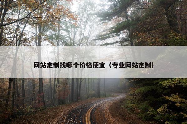 网站定制找哪个价格便宜（专业网站定制）