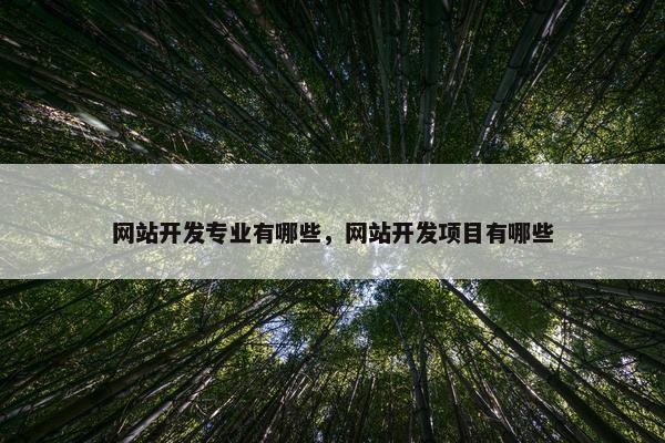 网站开发专业有哪些，网站开发项目有哪些