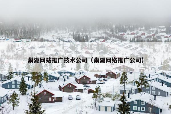 巢湖网站推广技术公司（巢湖网络推广公司）
