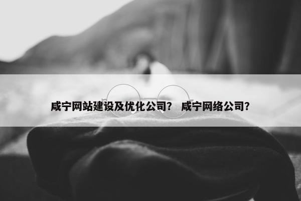 咸宁网站建设及优化公司？ 咸宁网络公司？