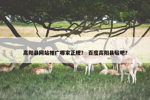 高阳县网站推广哪家正规？ 百度高阳县贴吧？