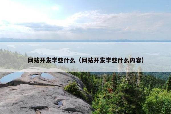 网站开发学些什么（网站开发学些什么内容）
