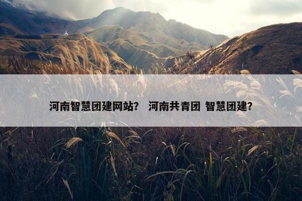河南智慧团建网站？ 河南共青团 智慧团建？