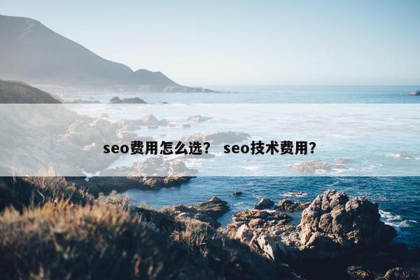 seo费用怎么选？ seo技术费用？