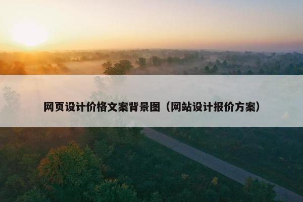 网页设计价格文案背景图（网站设计报价方案）