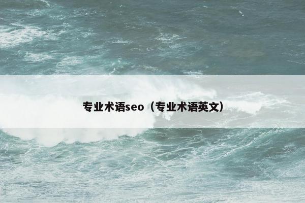 专业术语seo（专业术语英文）
