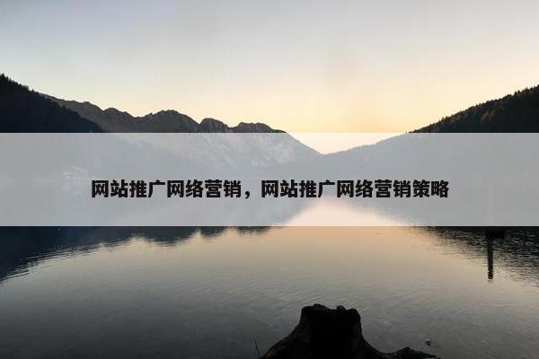 网站推广网络营销，网站推广网络营销策略