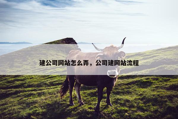建公司网站怎么弄，公司建网站流程
