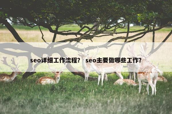 seo详细工作流程？ seo主要做哪些工作？