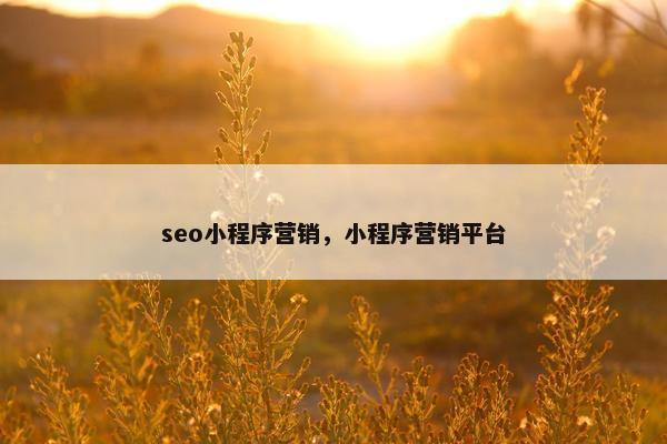 seo小程序营销，小程序营销平台