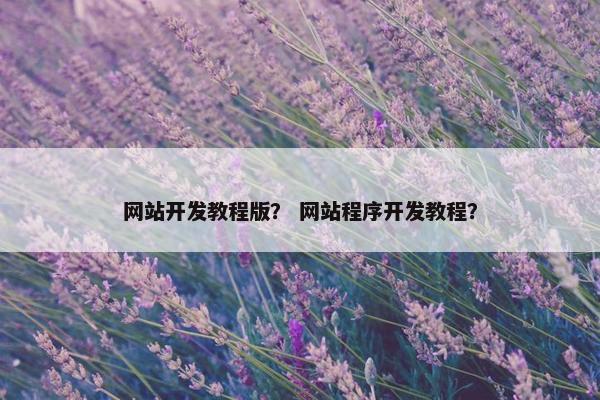 网站开发教程版？ 网站程序开发教程？