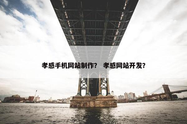 孝感手机网站制作？ 孝感网站开发？