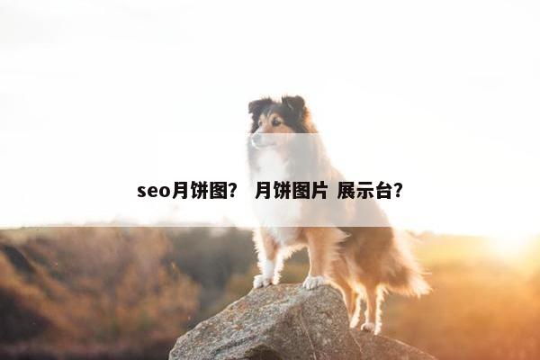 seo月饼图？ 月饼图片 展示台？