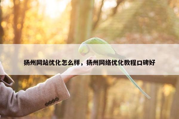 扬州网站优化怎么样，扬州网络优化教程口碑好