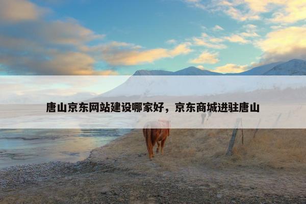 唐山京东网站建设哪家好，京东商城进驻唐山