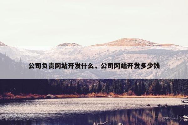 公司负责网站开发什么，公司网站开发多少钱