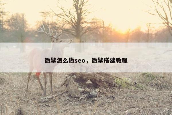 微擎怎么做seo，微擎搭建教程