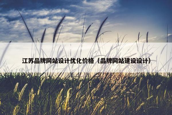 江苏品牌网站设计优化价格（品牌网站建设设计）