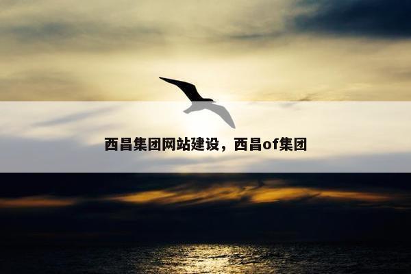 西昌集团网站建设，西昌of集团