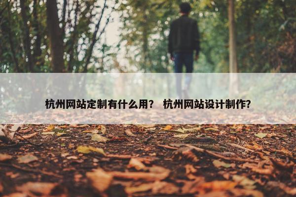 杭州网站定制有什么用？ 杭州网站设计制作？