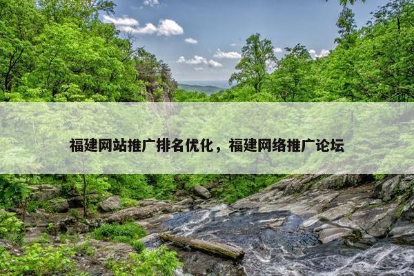 福建网站推广排名优化，福建网络推广论坛