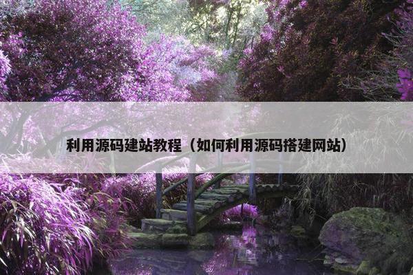 利用源码建站教程（如何利用源码搭建网站）