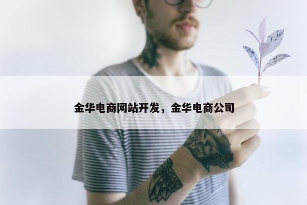 金华电商网站开发，金华电商公司