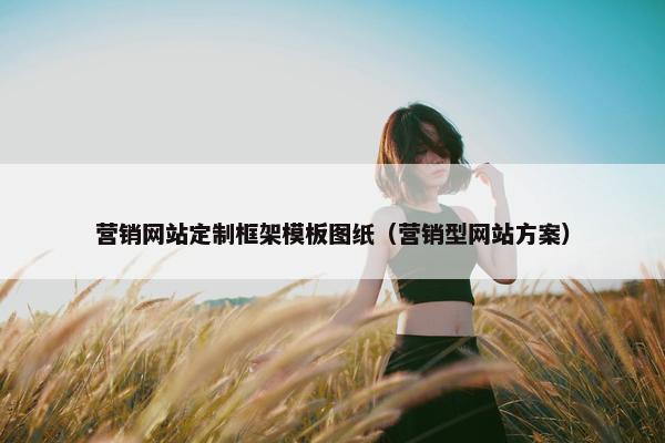 营销网站定制框架模板图纸（营销型网站方案）