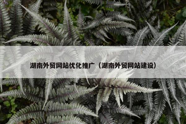 湖南外贸网站优化推广（湖南外贸网站建设）