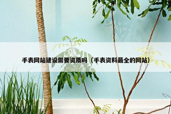 手表网站建设需要资质吗（手表资料最全的网站）