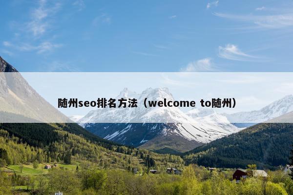 随州seo排名方法（welcome to随州）