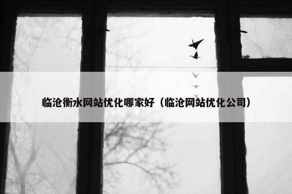 临沧衡水网站优化哪家好（临沧网站优化公司）