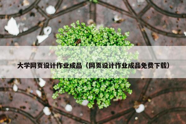 大学网页设计作业成品（网页设计作业成品免费下载）
