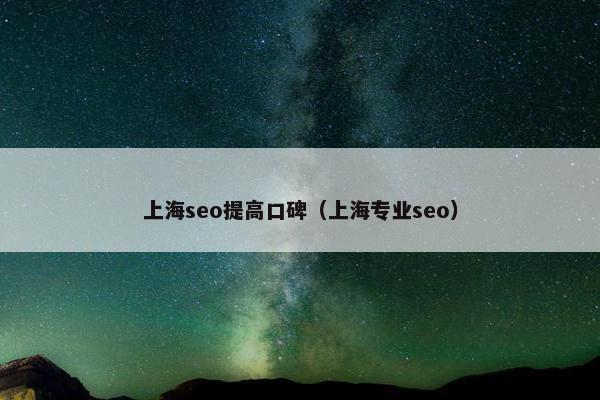 上海seo提高口碑（上海专业seo）