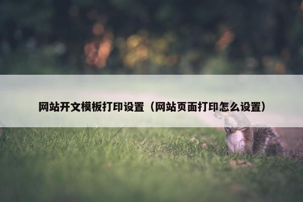 网站开文模板打印设置（网站页面打印怎么设置）