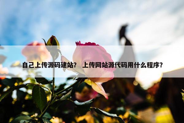 自己上传源码建站？ 上传网站源代码用什么程序？