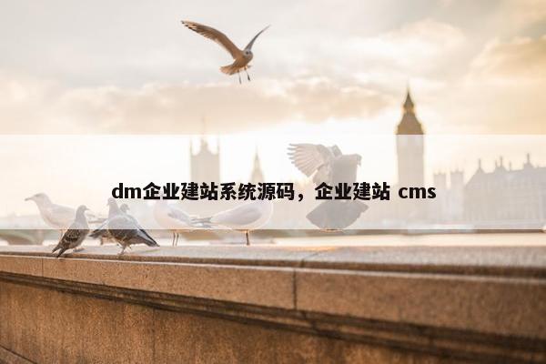 dm企业建站系统源码，企业建站 cms