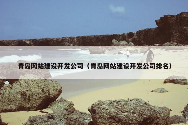 青岛网站建设开发公司（青岛网站建设开发公司排名）