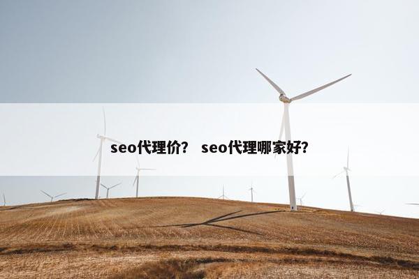 seo代理价？ seo代理哪家好？