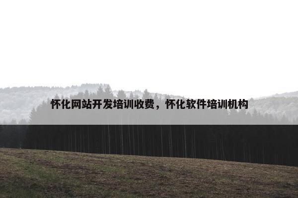 怀化网站开发培训收费，怀化软件培训机构