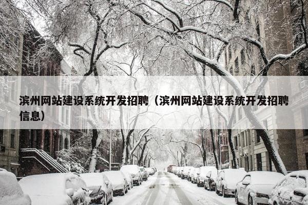 滨州网站建设系统开发招聘（滨州网站建设系统开发招聘信息）