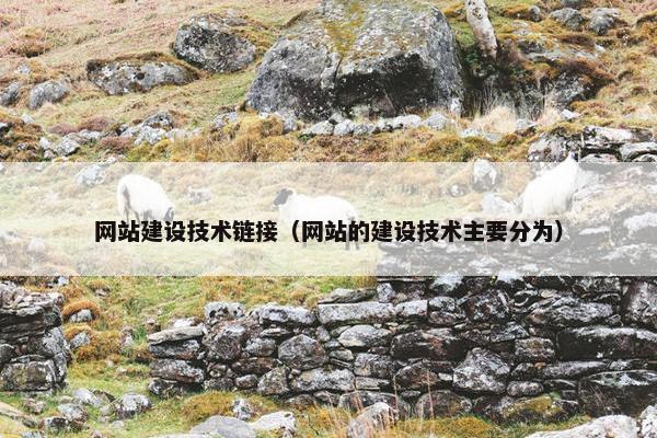 网站建设技术链接（网站的建设技术主要分为）